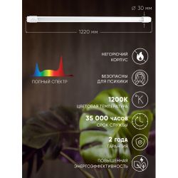 Фитолампа для растений светодиодная ЭРА FITO-18W-Ra90-Т8-G13-NL полного спектра 18 Вт Т8 G13