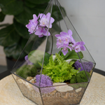 Готовый флорариум с сиреневой орхидеей Алмаз