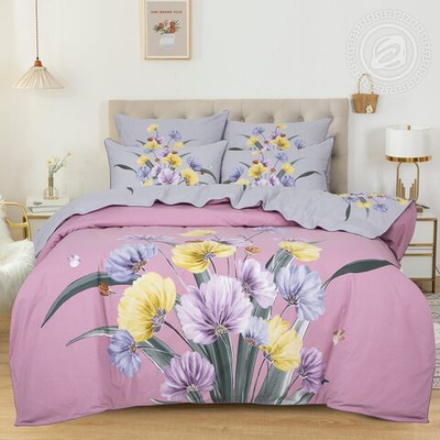 Постельное белье велюр Евроразмер Аэлита 797 Арт Элегант