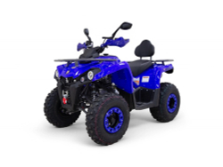 Квадроцикл бензиновый MOTAX GRIZLIK 200 ULTRA