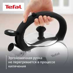 Чайник для плиты Tefal Wave 2.5 л N4210217