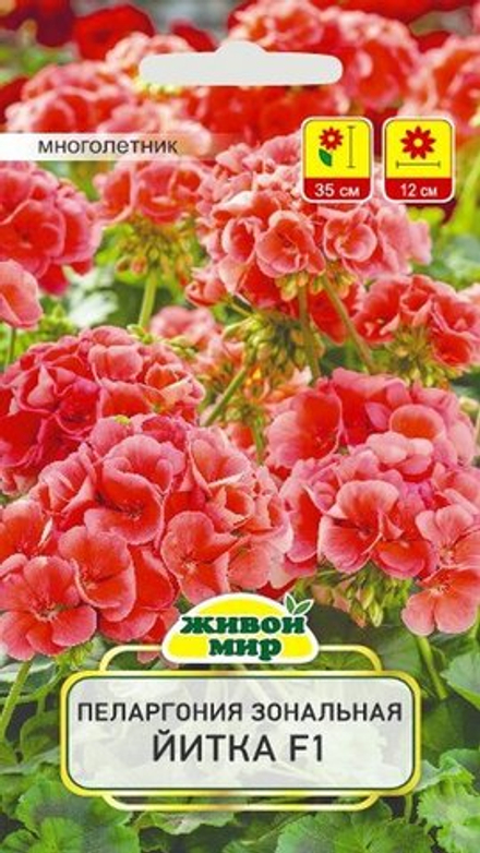 Пеларгония зональная "ЖМ. Йиткa F1" 3шт, Чехия.