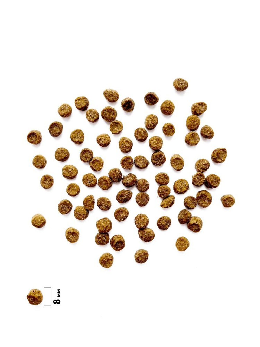 Корм для собак сухой BRIT CARE Mini с индейкой для щенков и беременных и кормящих собак мини пород Puppy&Junior.Healthy Growth 1,5 кг