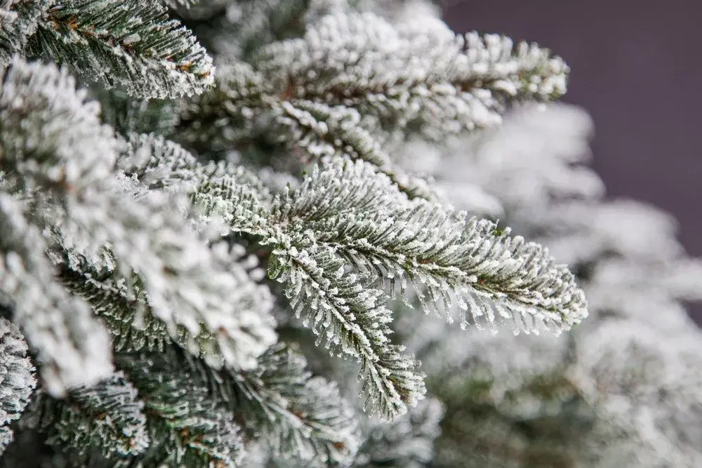 Ель искусственная Стильная заснеженная 215 см, литая хвоя+пвх, Black Box (74001)