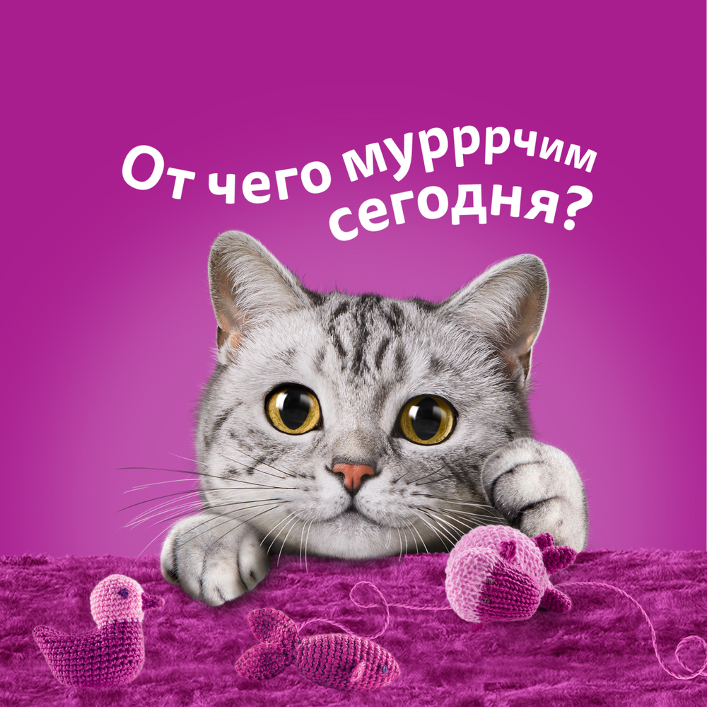 Корм для кошек влажный Индейка+печень+овощи в желе, 75г Особое удовольствие Whiskas