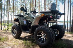 Квадроцикл YAMAHA Shark 300cc