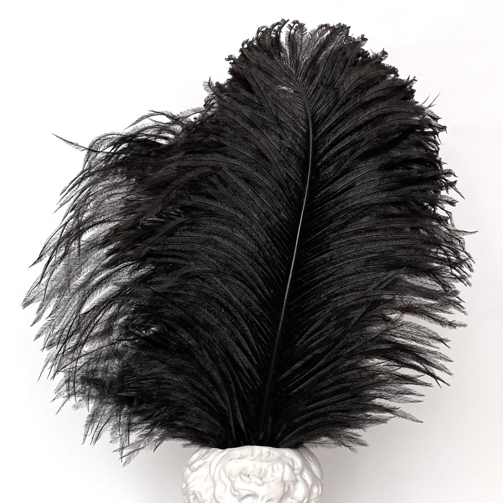 Перо страуса черное 2 сорт 30 - 35 см.