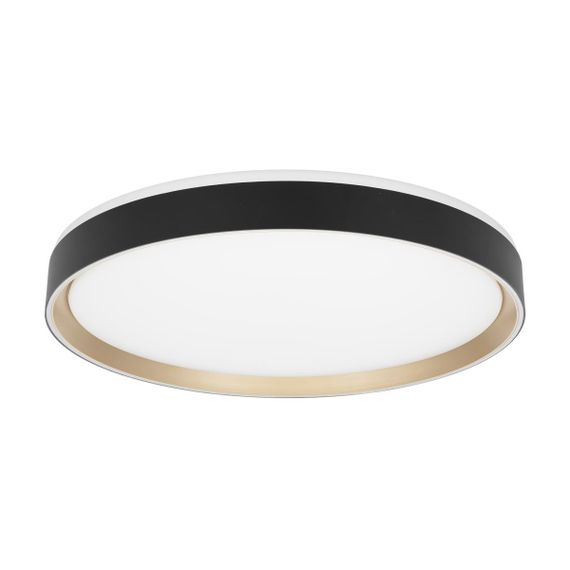 Потолочный светодиодный светильник Citilux Boss CL751451G