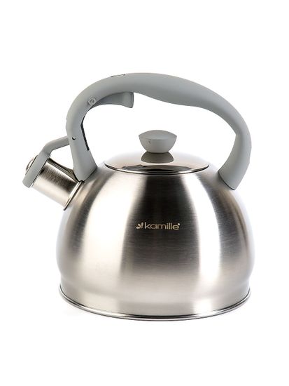 Чайник 2 л. из нержавеющей стали со свистком Kamille KM-0693