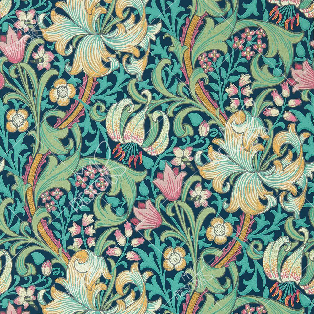 Коллекция MF0583