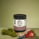 Terra Origin, Healthy Gut™, добавка для нормализации функций желудочно-кишечного тракта, вкус ягод, 243 г (8,57 унции)