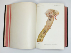 Eulenburg A., проф. Эйленбург А  Реальная энциклопедия практической медицины в XVII томах. 1909-1915