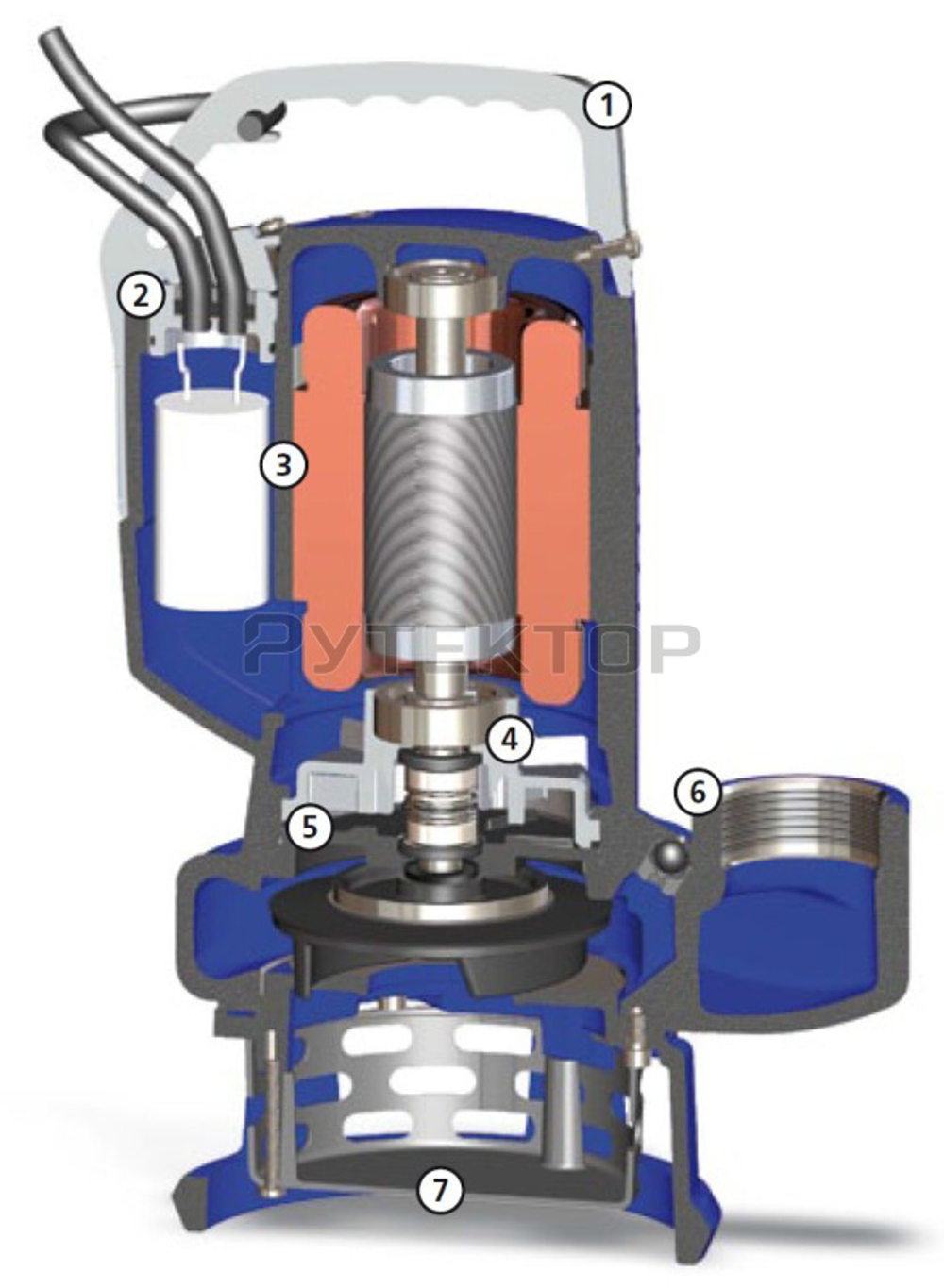 Погружной дренажный насос Zenit DR BLUE P 100/2/G32V A1BM/50