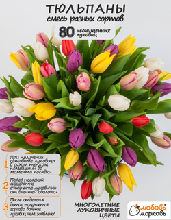 Тюльпан Луковицы неочищенные, Микс сортов, 80+шт