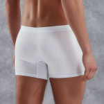 Мужские трусы-боксеры Doreanse Premium (Размер: L) (Цвет: белый)