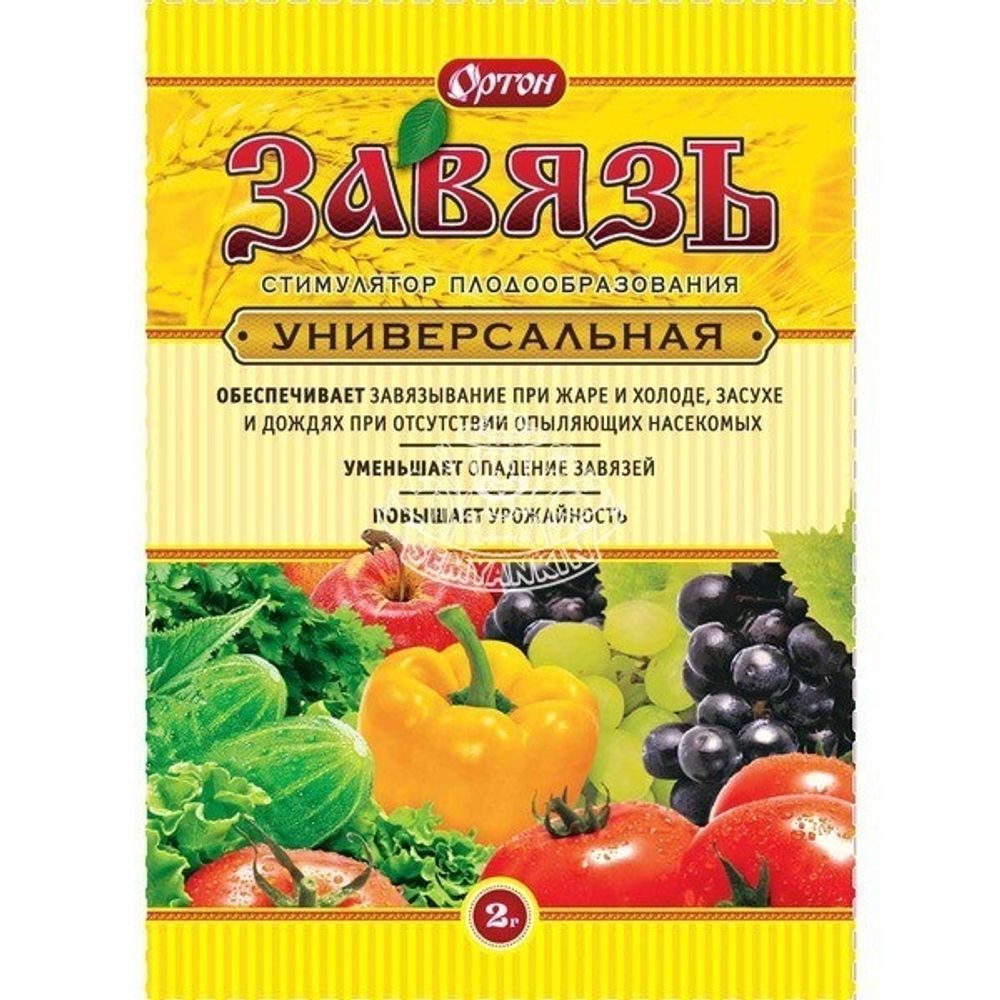Удобрение ЗАВЯЗЬ универсальная (пак 2 гр)