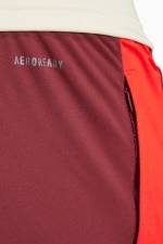 Штаны adidas FC Bayern 24/25 Training - бордовый