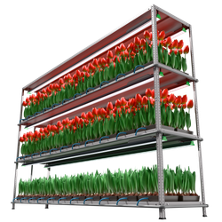 Светильник АгроСвет SEED (стеллажный) 125вт 250мкмоль FS-S-АGRО-125-20-XY-2500