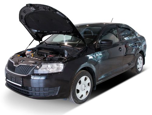Газовые упоры капота Rival для Skoda Rapid I, II 2013-2020 2020-н.в./Volkswagen Polo VI лифтбек 2020-н.в., 2 шт., A.ST.5104.1