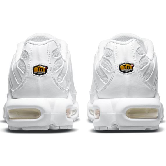 Кроссовки Nike Air Max Plus Мужские