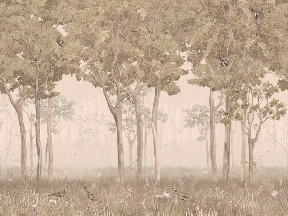 Коллекция Aurora