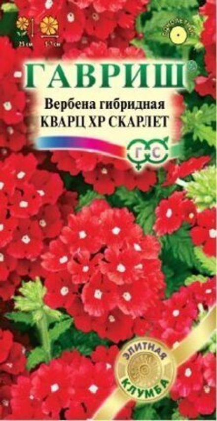 Вербена Кварц ХР Скарлет однолетник 4шт (Гавриш)