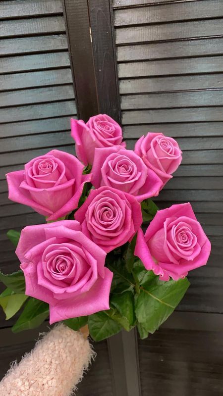 Букет из 7 голландских роз 50 см ( цвет роз на выбор ) #33444