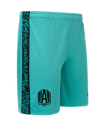 Шорты игровые JOGEL AMKAL PerFormDRY Shorts, бирюзовый/черный