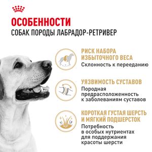 Сухой корм Royal Canin Labrador Retriever Adult для взрослых собак породы Лабрадор Ретривер от 15 месяцев