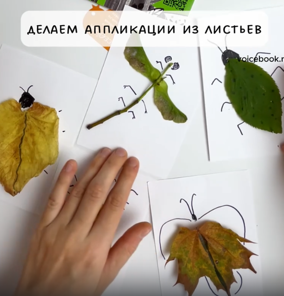 Делаем аппликации &quot;Насекомые&quot; из листьев