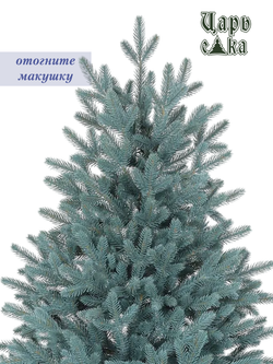 Ель искусственная Царь елка Адель голубая 210 см