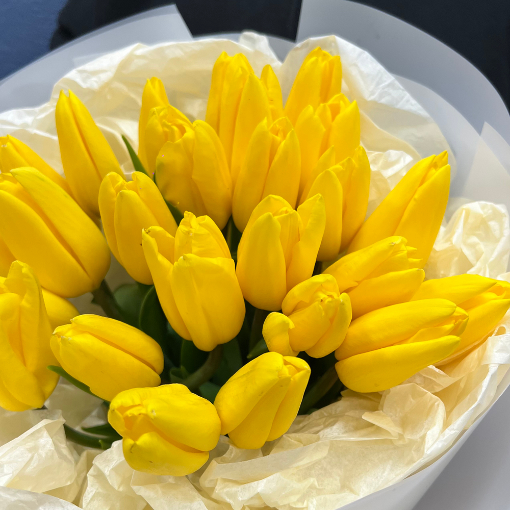 Букет свежих желтых тюльпанов