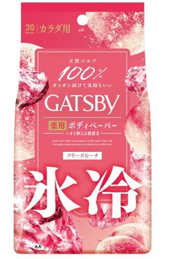 Дезодорирующие и освежающие салфетки Gatsby Ice