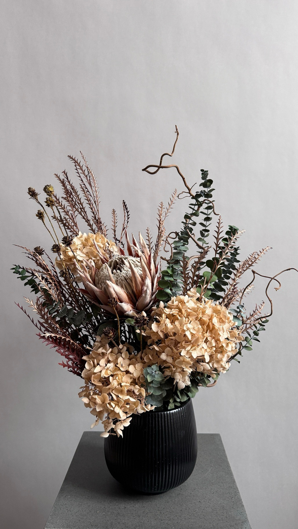 Композиция в кашпо Цинародиес