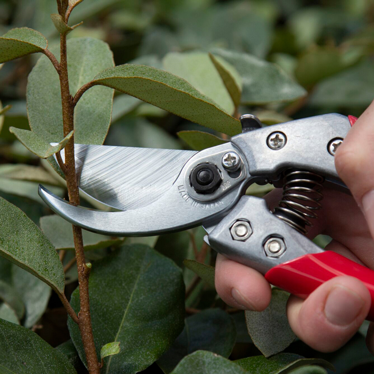 🌸 секатор ARS VS-8XZ — красный — ARS Corporation — 8 марта у Феи