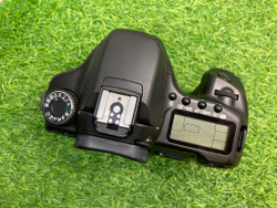Canon EOS 40D (46.300 кадров)
