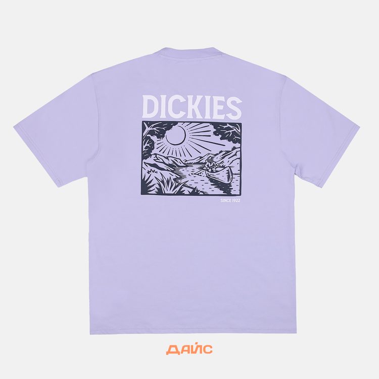 Футболка мужская Dickies Patrick Springs Tee артикул:DK0A4YR7H181 - купить в магазине Дайс
