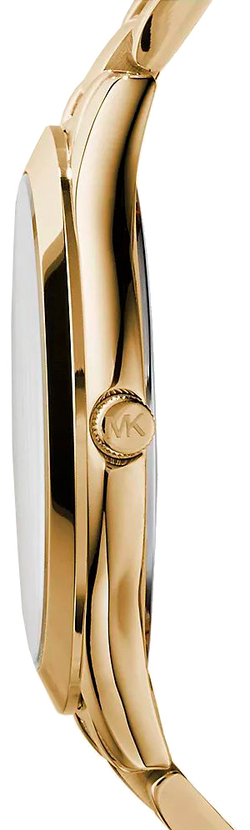 Наручные часы Michael Kors MK3179