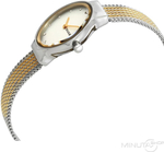 Женские наручные часы Skagen SKW2698