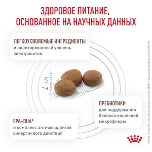 Сухой кормRoyal Canin Gastrointestinal Low Fat Small Dog для взрослых собак мелких пород при нарушениях пищеварения