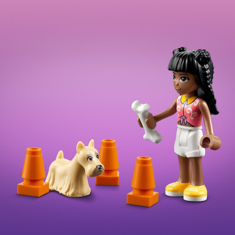 Конструктор LEGO Friends 41718 Зоогостиница