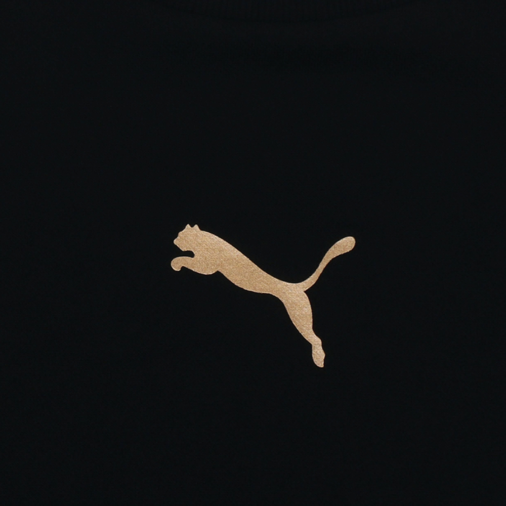 Толстовка PUMA Logo, 587665-01