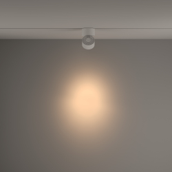 Трековый светильник Technical TR084-1-15W3K-D-W