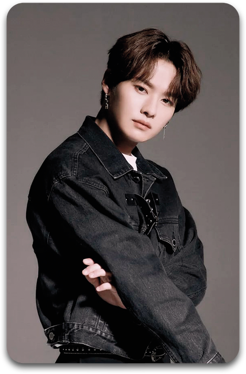 Карта / STRAY KIDS #3079