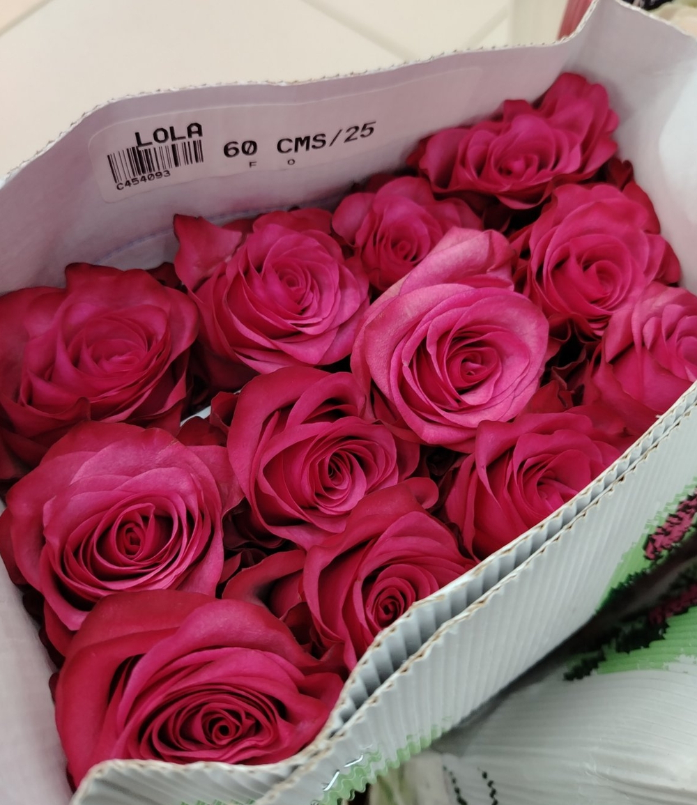 9 роз Лола