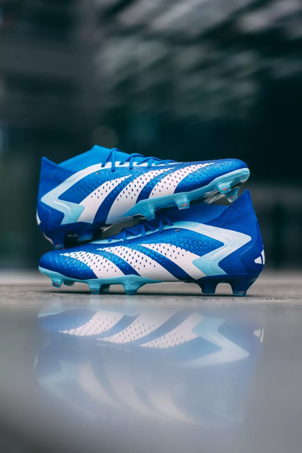 Predator blue adidas hot sale