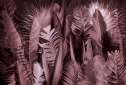 Коллекция Levity