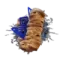 Crown Sapphire - Apple strudel