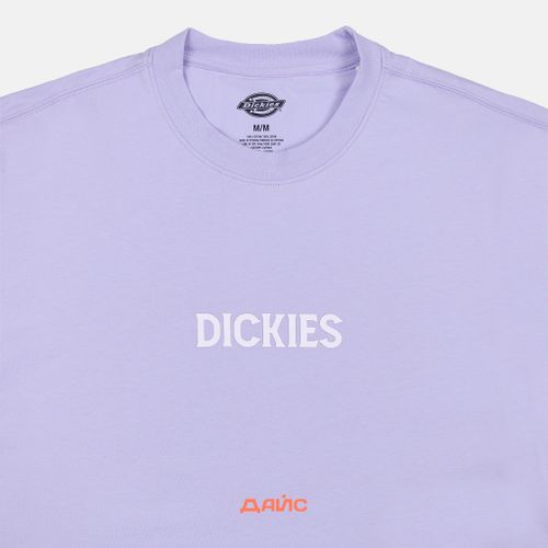 Футболка мужская Dickies Patrick Springs Tee  артикул:DK0A4YR7H181 - купить в магазине Дайс