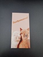 Конверты подарочные